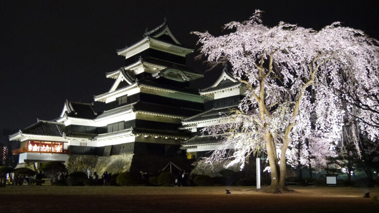 国宝松本城夜桜会 – とっておき信州