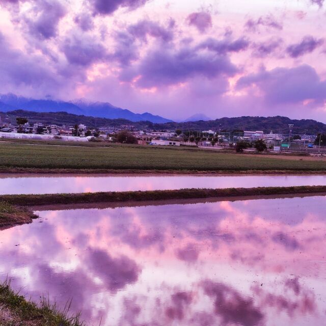 田植え前の水が張られた田んぼに写る夕焼け空
#水鏡